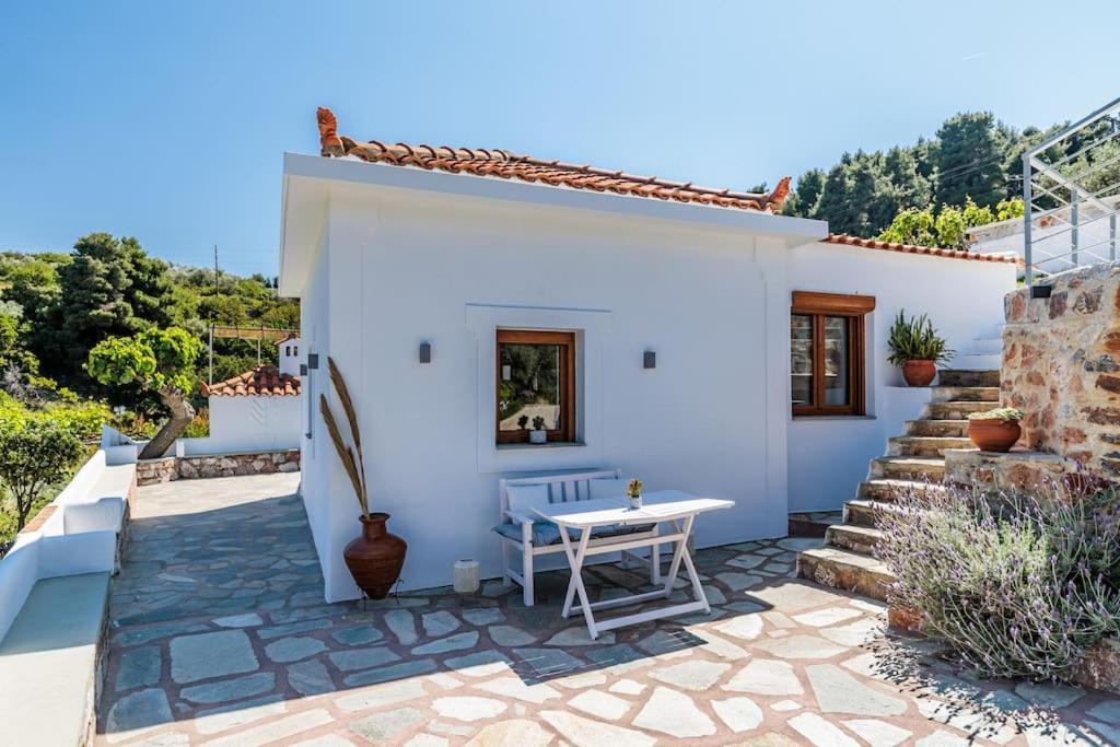 Villa Koukounaria Скопелос Экстерьер фото